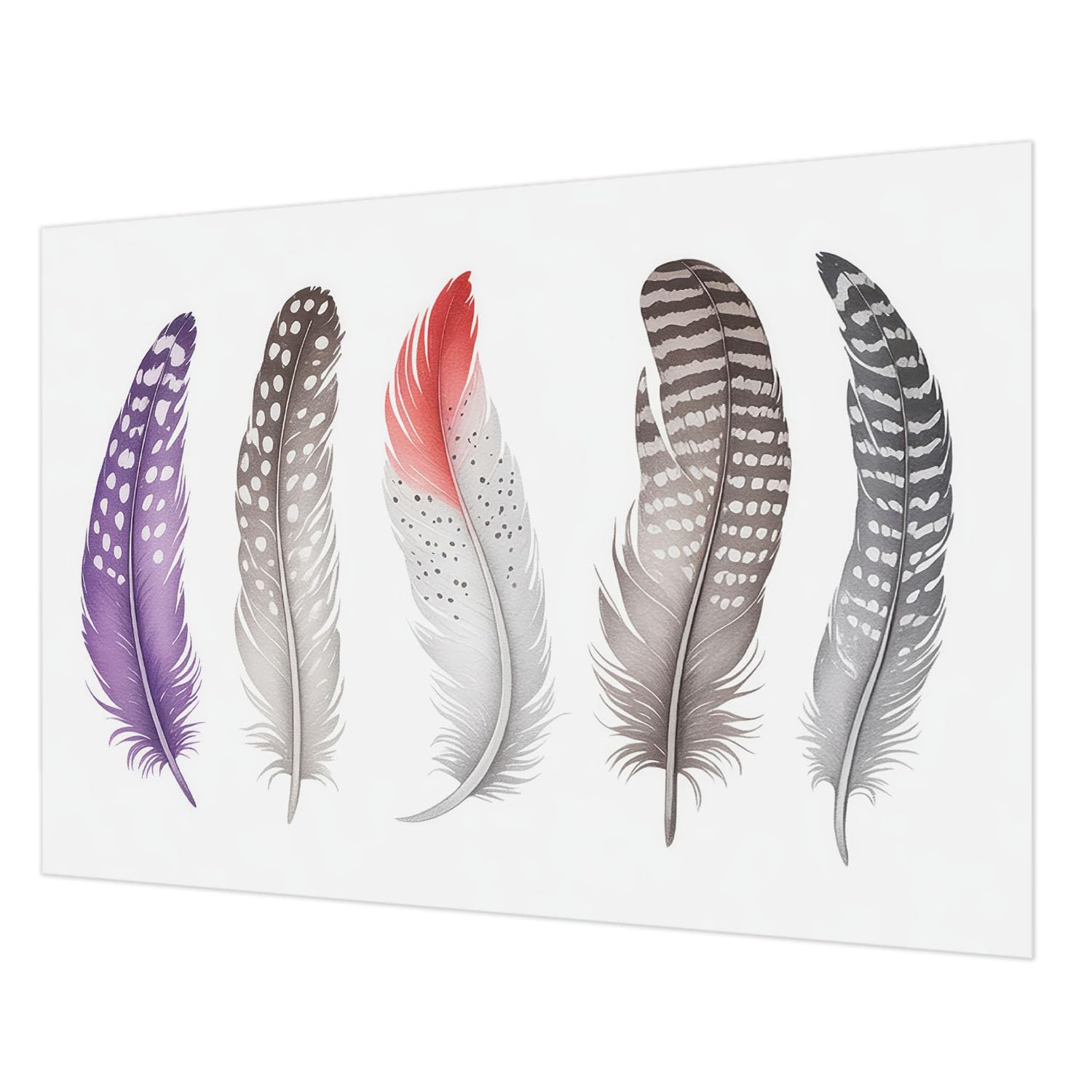 Papier peint intissé impression de haute qualité plumes 312x219 cm
