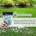 Septic Tank Treatment Packets | Enzyme Rapid Action Breaks Down Grease, Paper, Organic Solids - Controls Drain & Septic Odors - Eco Safe Sewage Backup Prevention (Pack of 6)