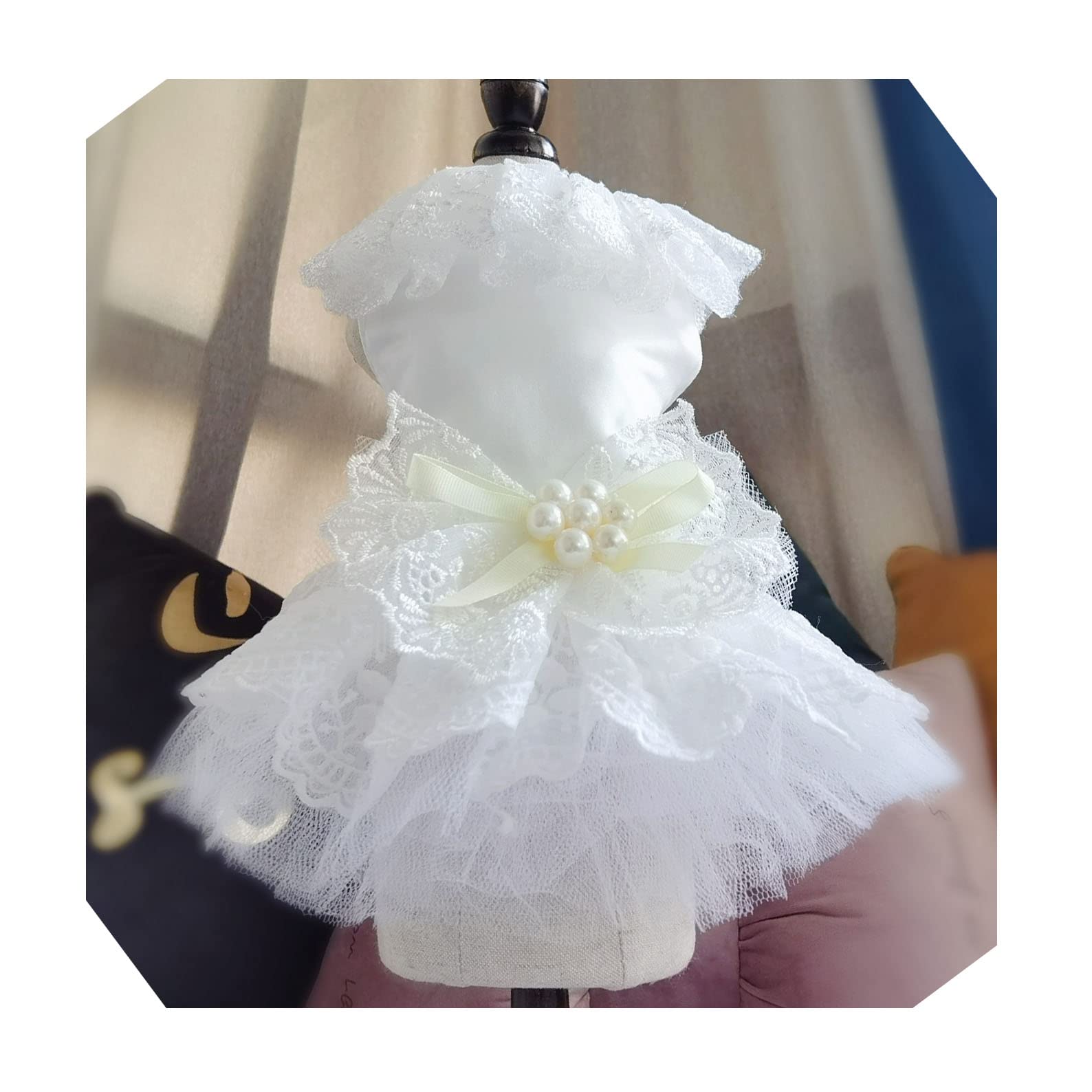 いわんこ様ドレス いわんこ様ドレス