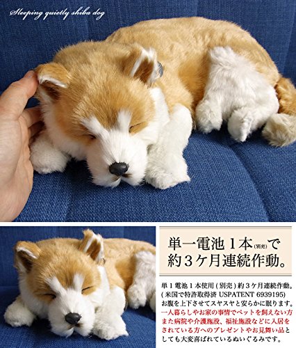 Amazon.co.jp: ニニアンドキノ パーフェクトペット (大サイズ) 柴犬