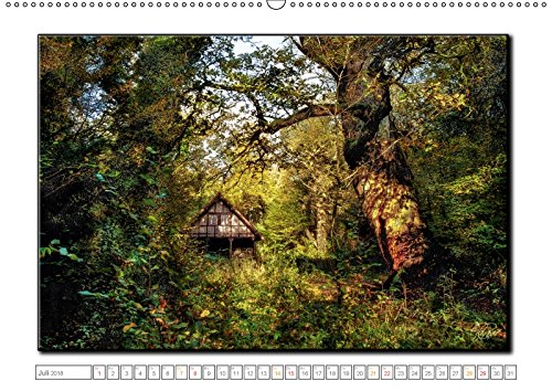 Der Neuenburger Urwald (Wandkalender 2018 DIN A2 quer): Peter Roder mit faszinierenden Bildern aus dem Naturschutzgebiet Neuenburger Urwald im ... ... Natur) [Kalender] [Apr 01, 2017] Roder, Peter