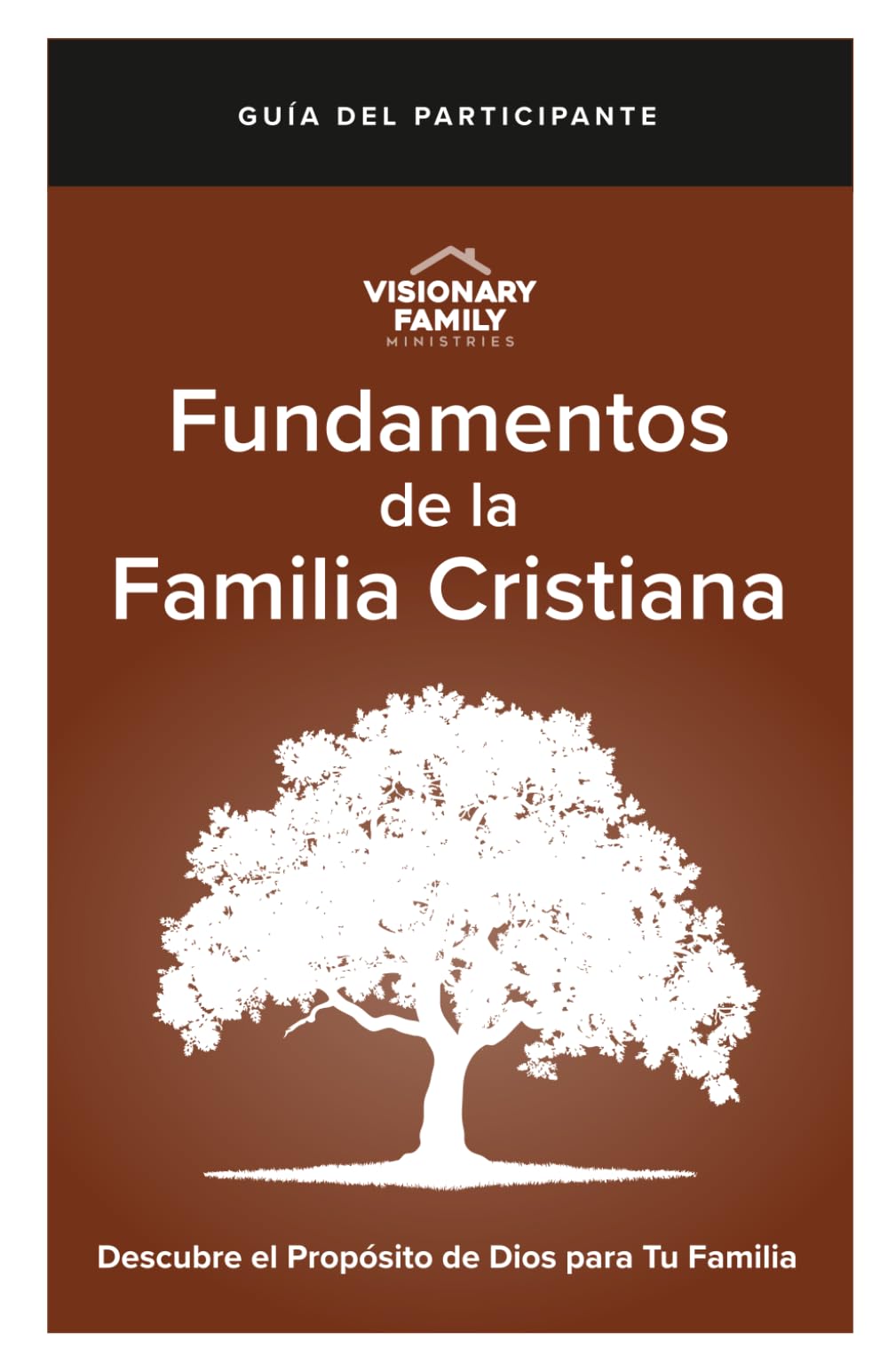 Fundamentos de la Familia Cristiana: Descubre el Propósito de Dios para Tu Familia