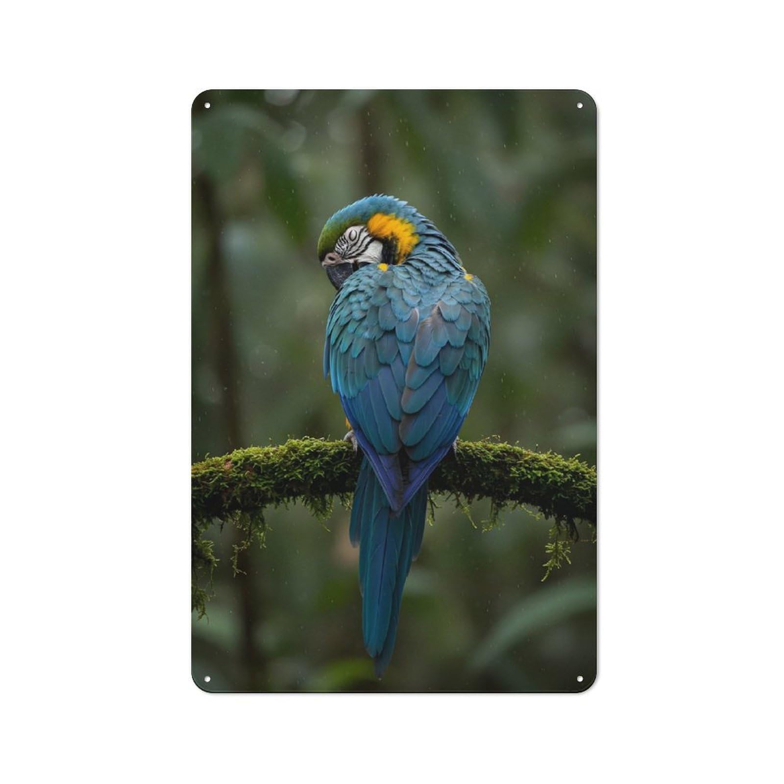 Classic Blue And Gold Macaw Portrait Metal Wall Sign 30x20cm, Pub Wall Decor for Diner, Restaurant, Shed Or Kitchen