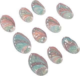 ADOCARN Ornamento de mar de peixe colorido espiral de casamento costeiro 10 peças para artesanato material de artesanato enchimentos decorações artesanato natural tema enchimento de pedras preciosas decoração pingente conchas