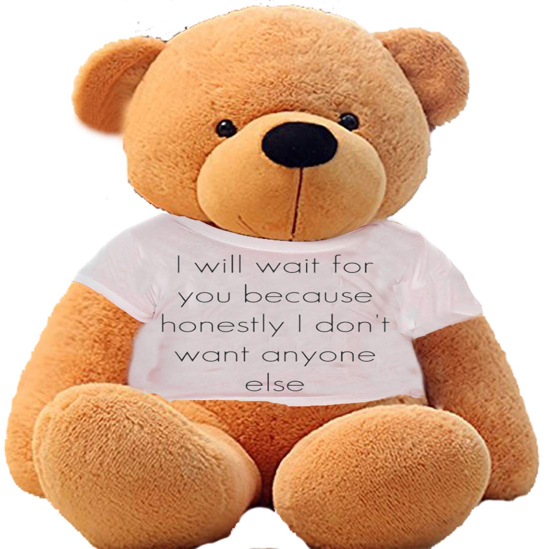 HUG n FEEL SOFT TOYS Big Teddy Bear Wearing I Will Wait for You Because Honestly I Dont Want Anyone Else T-Shirt 3 feet Brown_T Shirt_I Will Wait for You Plush & Stuffed Toys (B08BX5HH3H) Amazon Price History, Amazon Price Tracker