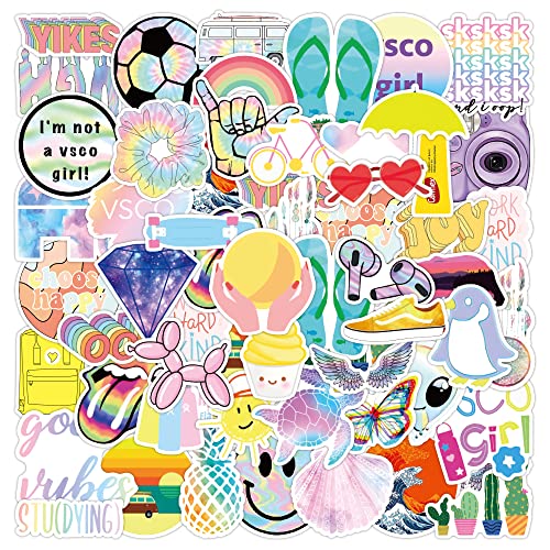 ANCIARY Vinyl Stickers for Laptop, Mobile Phones, Computer, Bicycle, Bike, Luggage, Scrapbook, Guitar |Waterproof Stickers|Cool (Pack of 50) (B0C3HWP96N) Amazon Price History, Amazon Price Tracker