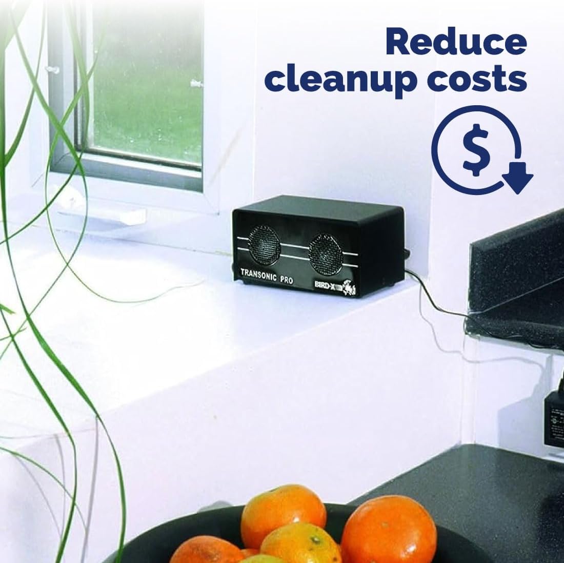 Bird-X Transonic PRO, Sonic and Ultrasonic Critter-Preventer and Scarer with 2 Speakers, Ideal for Indoor Areas, Covers up to 3,500 sq. ft., 6"x3"x3"