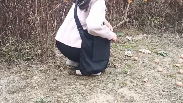 Sac De Cueillette Champignons Grande Capacité - Sac Maille Oxford Pliable Pour Fruits Et Légumes