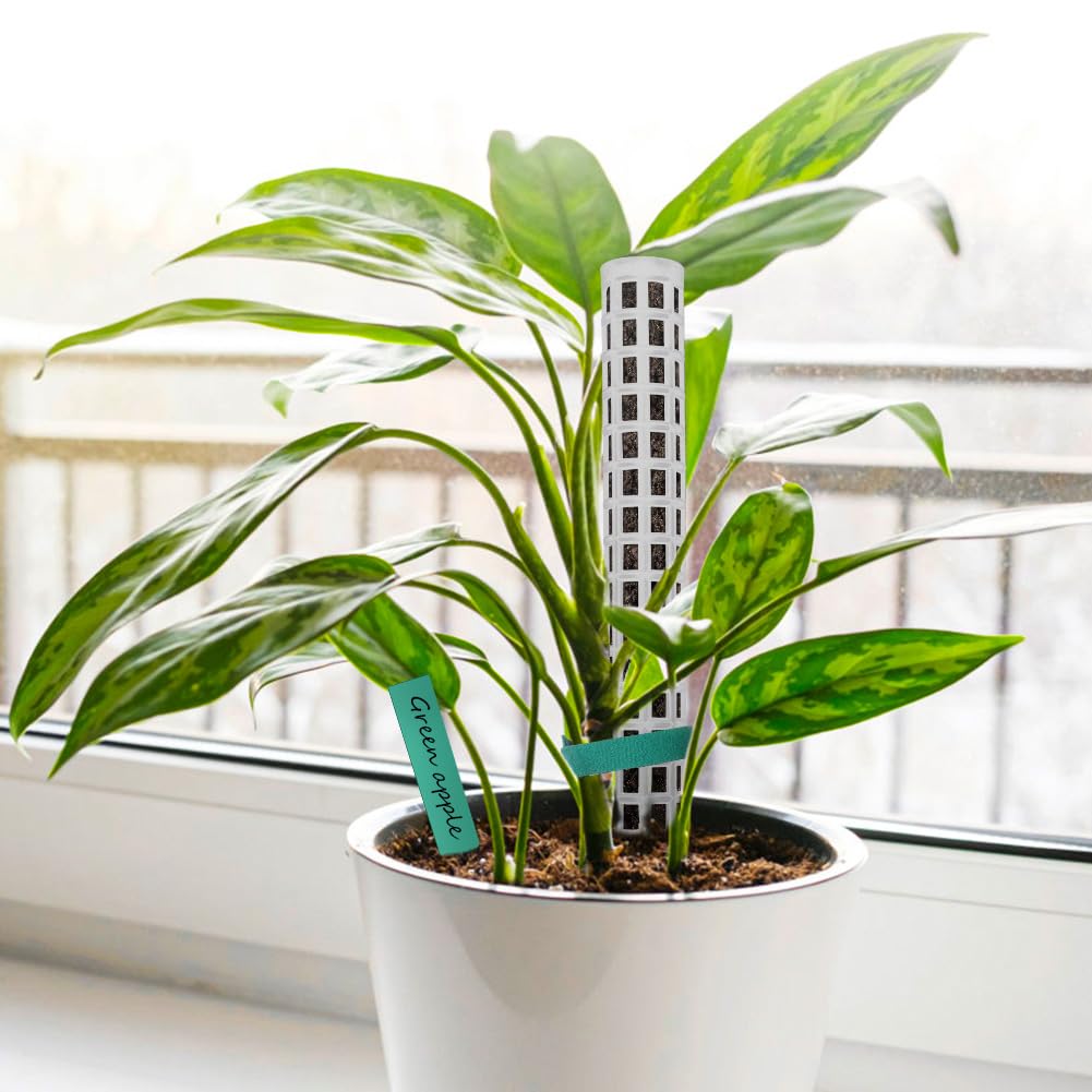 OFFCUP 6 sztuk Monstera Rankhilfe pręty z 15 etykietami i 3 rolkami na rzepy, pomoc dla roślin domowych 150 cm, do sadzenia ogrodu, bluszczu i wsparcia (biały)