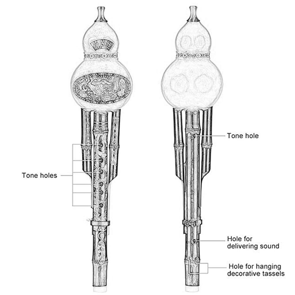 Flauti Hulusi Canne Di Bambù Oboe Flauto Di Bambù Cinese Principiante Di Strumenti Musicali Tasto C, B Flat, A-key, D Minore, G-key, F-key Regali Musicali (Color : C-key)