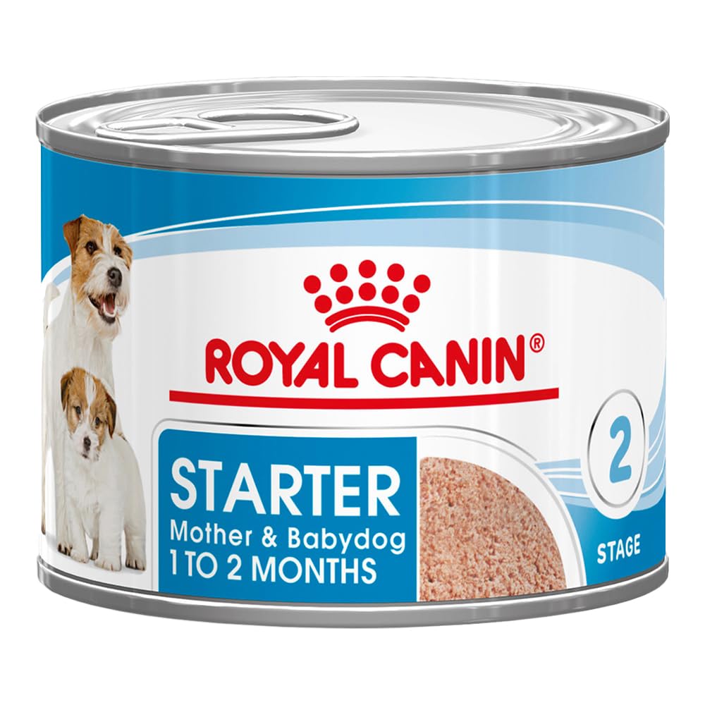 Royal Canin Starter Mousse, Comida para perros, 12x195 gr