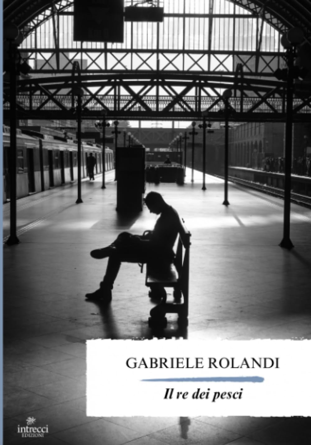 Il re dei pesci (Italian Edition)