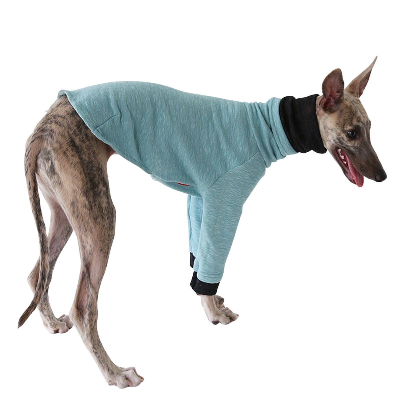 Lightweight Greyhound Winter Coat,Whippet Clothes,Salukis Jumper Dog T-Shirt Spring Autumn Dog Pajamas Pjs Pullover for Greyhound,Lake Blue_XS
