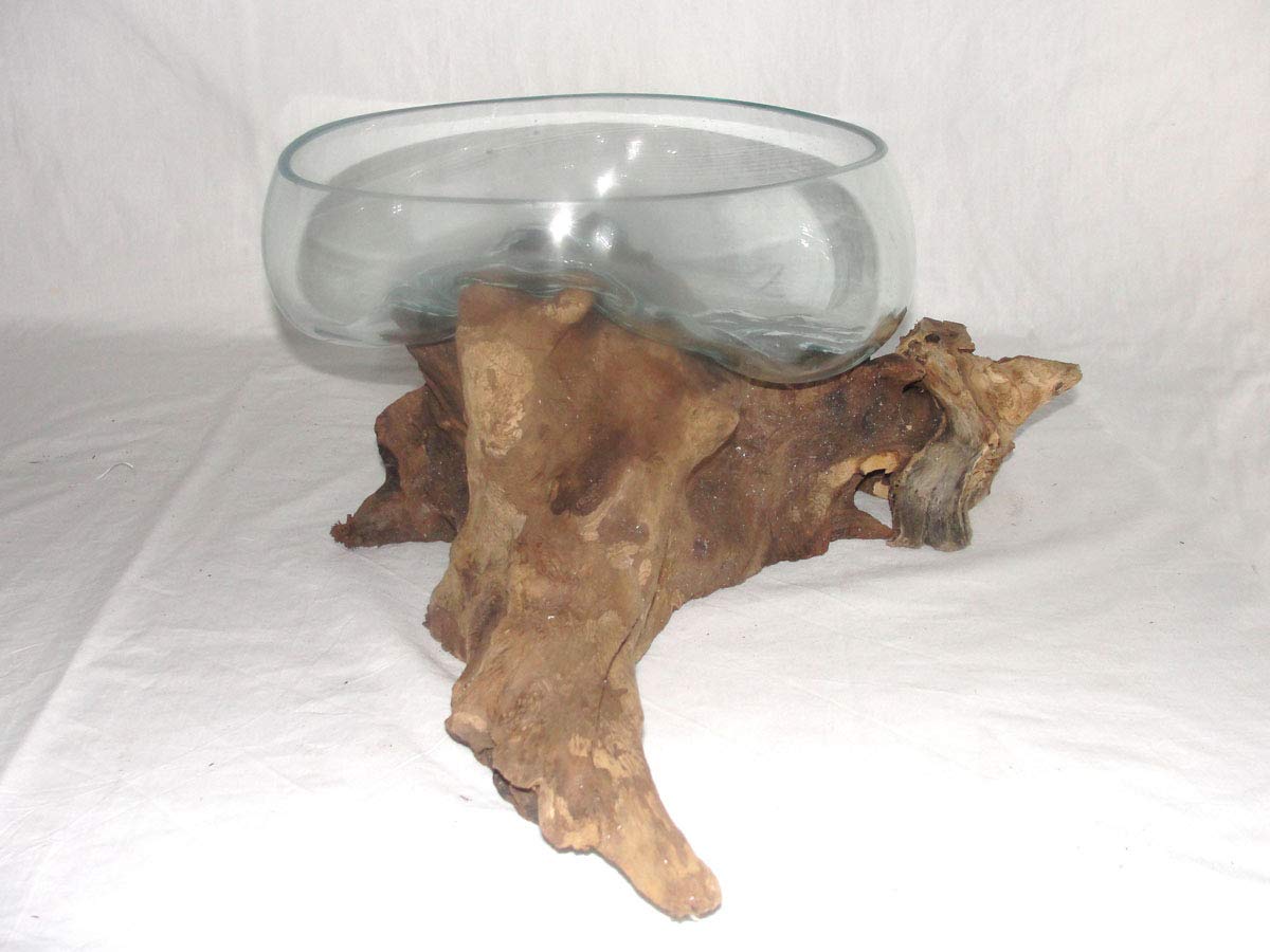 Deko Glasschale Ø 30 cm Obstschale Blumenschale auf Wurzel-Holz, Vase Schale mit Treib-Holz Dekovase Dekoschale charakteristische Dekoration