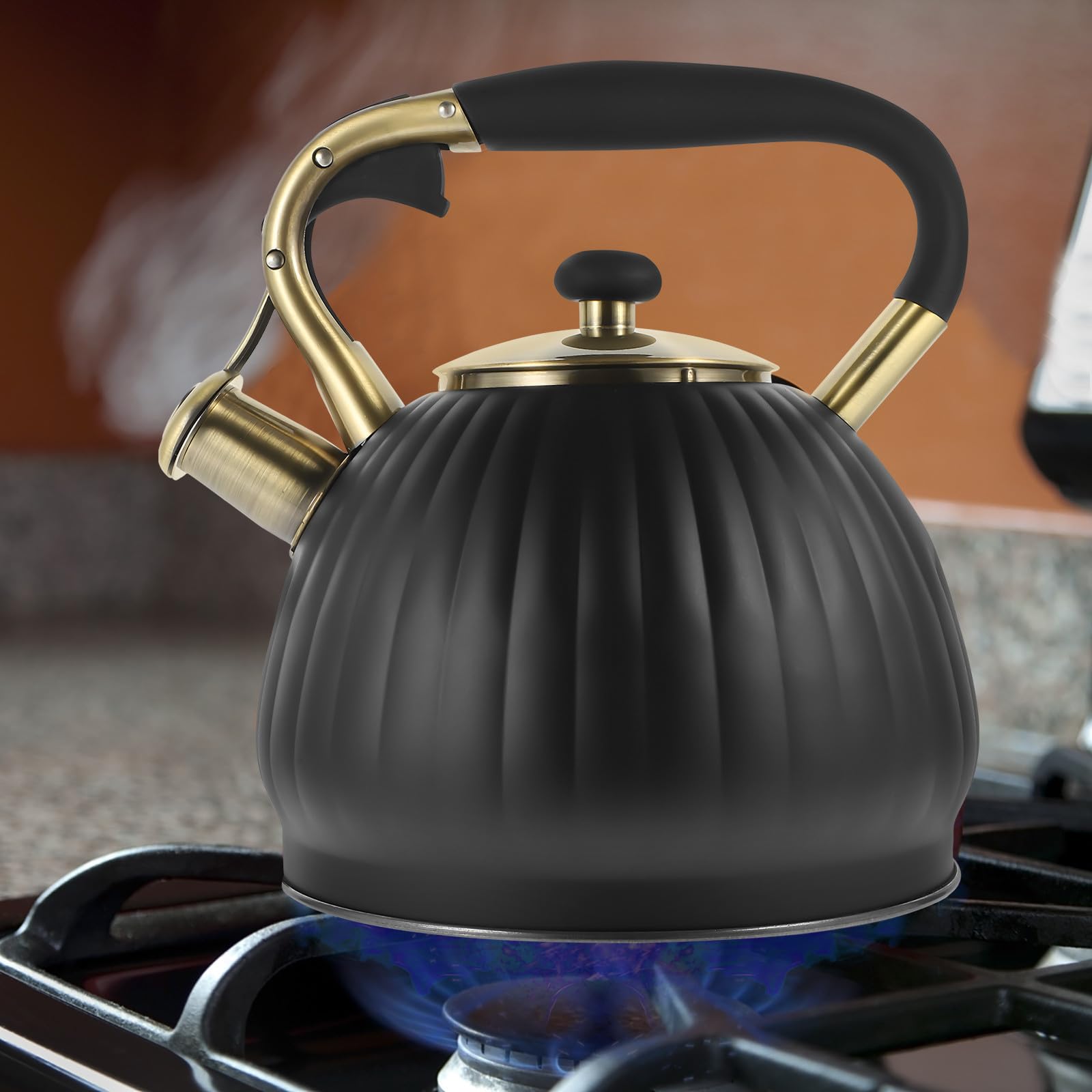 Holibanna Bollitore per Acqua da 3,5l in Acciaio Inossidabile Nero Manico Ergonomico e Dispositivo Automatico a Fischio per Ebollizione Rapida in Cucina Colore Casuale