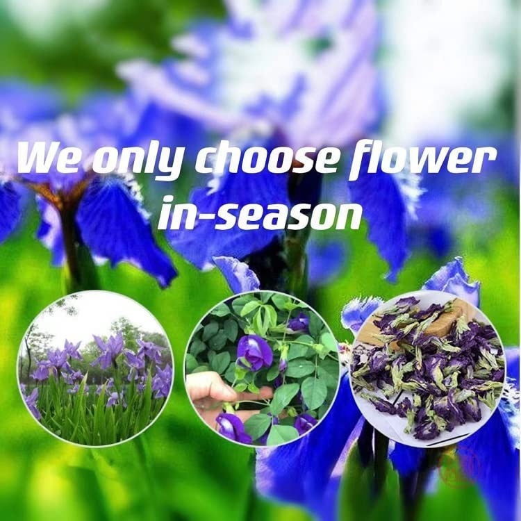 Dried Butterfly Pea Flowers Blue Tea (100) : Amazon.ca: Grocery