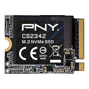 Amazon.com: PNY CS2342 2TB Gen4 PCIe NVMe M.2 2230 3D NAND