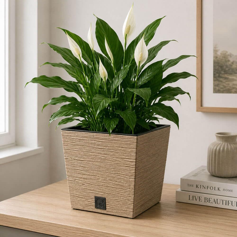 Gardening Naturally Fora Flowerpots, Stylish and Durable Plant Pots for Indoor and Outdoor Use (Square Pot 24cm - Natural) — image 1
