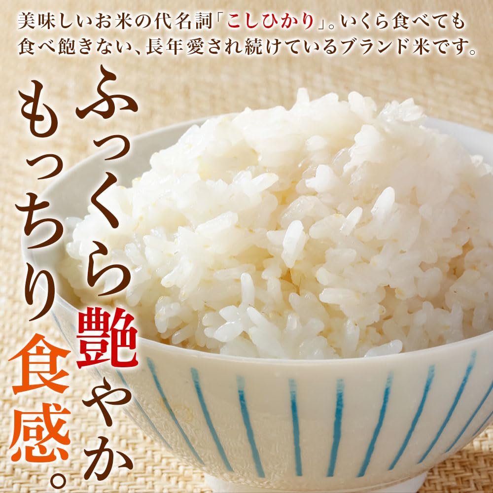 Amazon.co.jp: 令和7年産 魚沼産コシヒカリ 5kg 特A 無洗米 産地直送