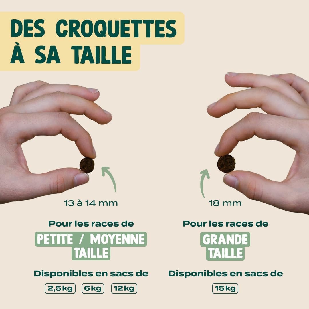 Franklin – Croquettes pour Chien Sensible – Gamme Protéinée – avec 52% d'agneau – sans céréales – Mono-protéine – Taille 13 mm – 6 kg