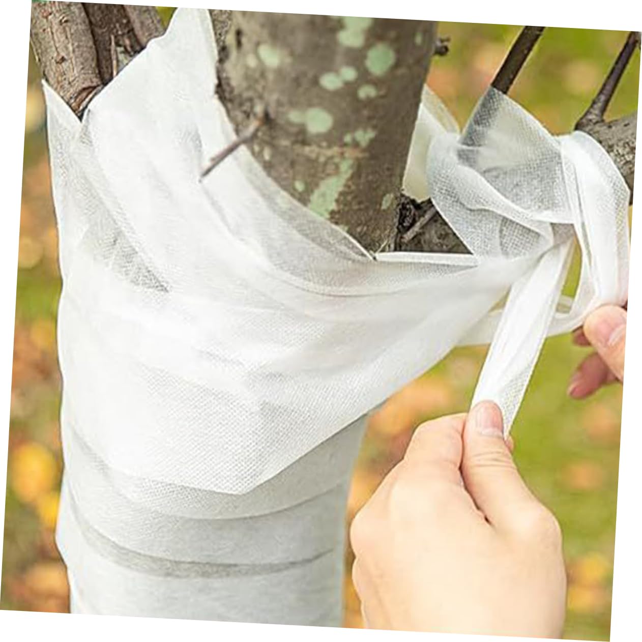YARNOW 5rotoli Avvolgente Protettivo per Alberi Non Protezione Invernale e Antigelo Accessori per Giardinaggio e delle Piante