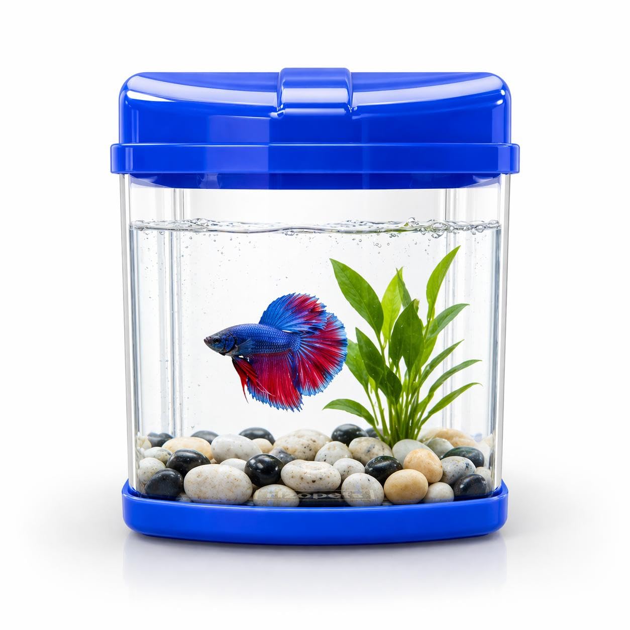Mini Goldfish Tank Size