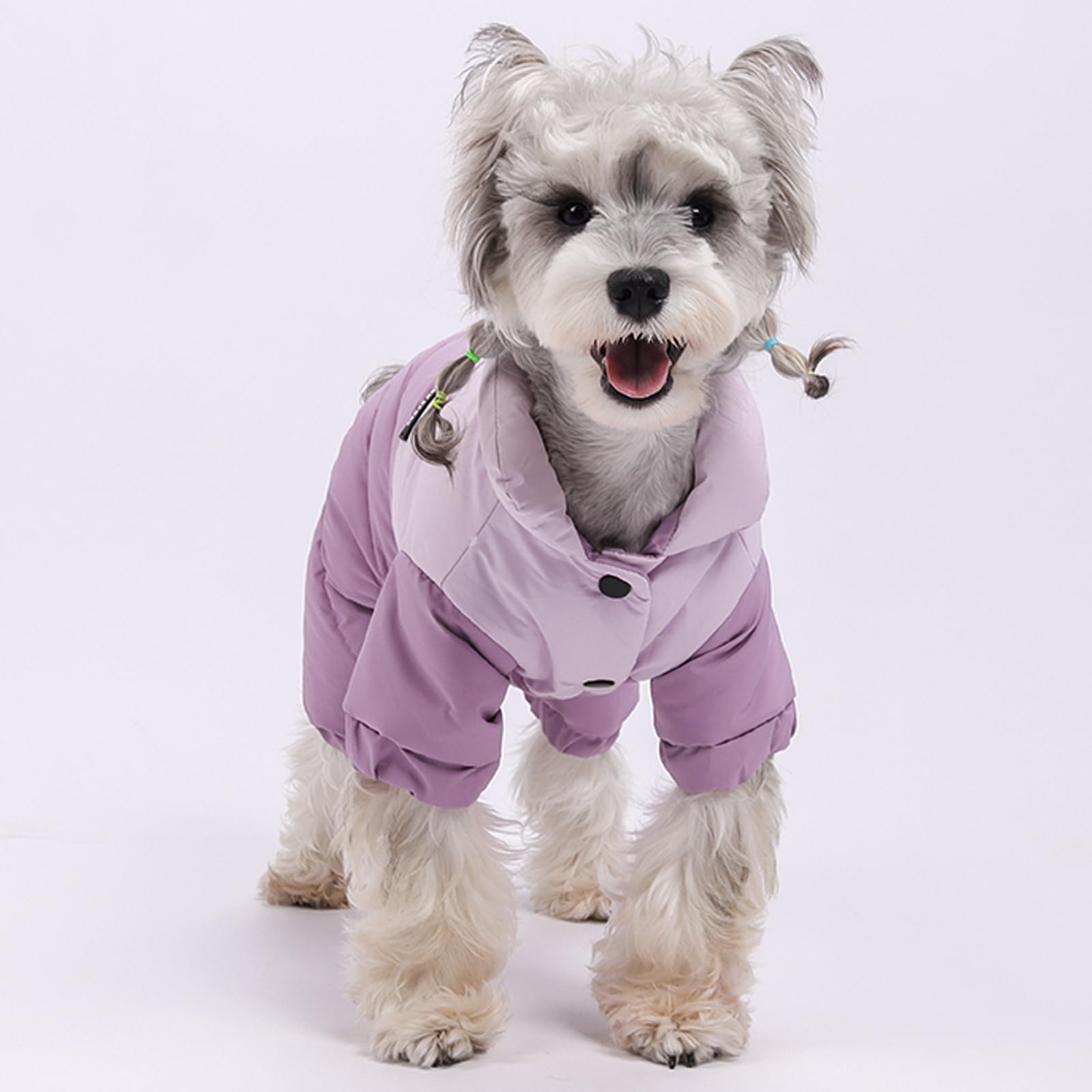 Abrigo de invierno para perro con cuello alto, resistente al viento, impermeable, chaqueta cálida para perro para clima frío, traje de nieve para mascotas de cuatro patas (morado, 2XL)