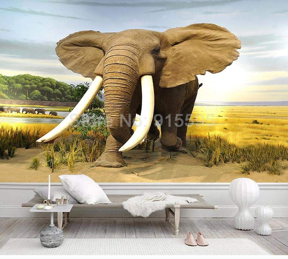 Papier peint éléphant 3D pour transformer un mur blanc triste
