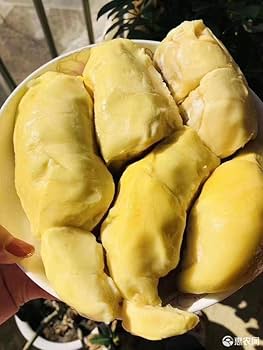 Amazon | durian Ri6ドリアン クリーミー ベトナム産 冷凍果物