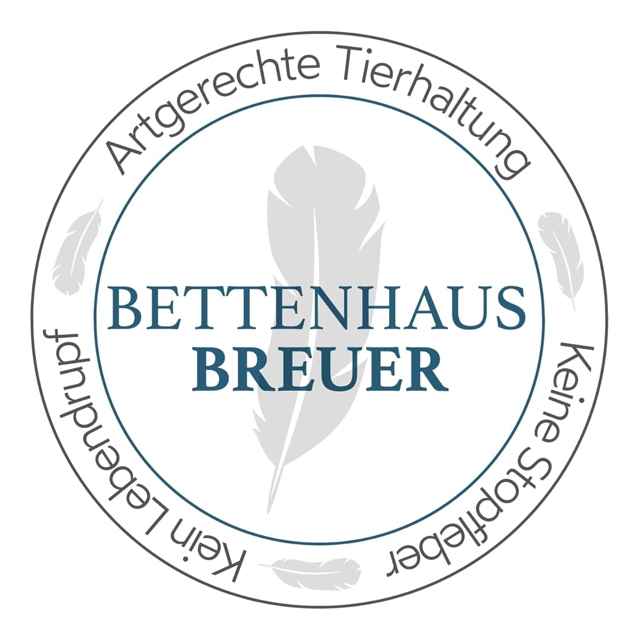 Bettdecke 135x200 | Daunendecke | Decke für den Sommer | Sommer-Daunendecke | Kassettenbettdecke | Sommerdecke | Daunenbettdecken | Oeko-TEX-Zertifiziert | Daunenpass | 100% Gänsedaunen