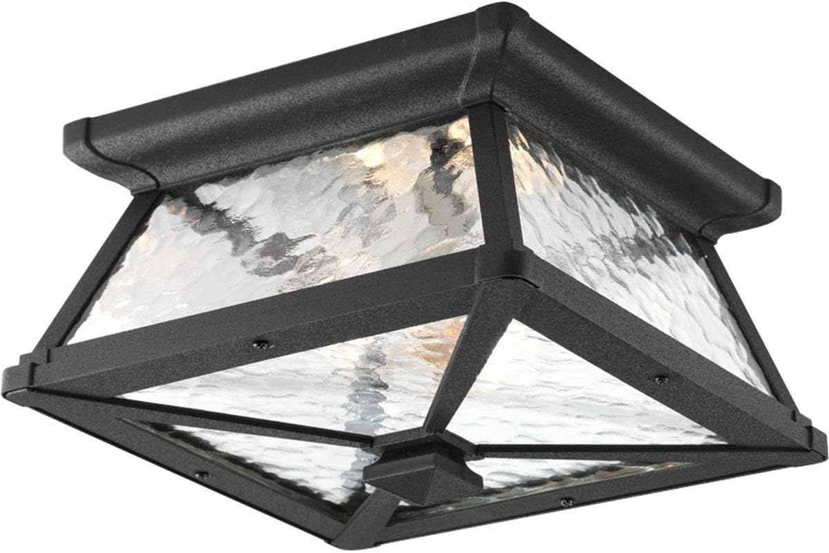 Progress Lighting P6023-31 Med Flush Mount, 2-100-watt , Black