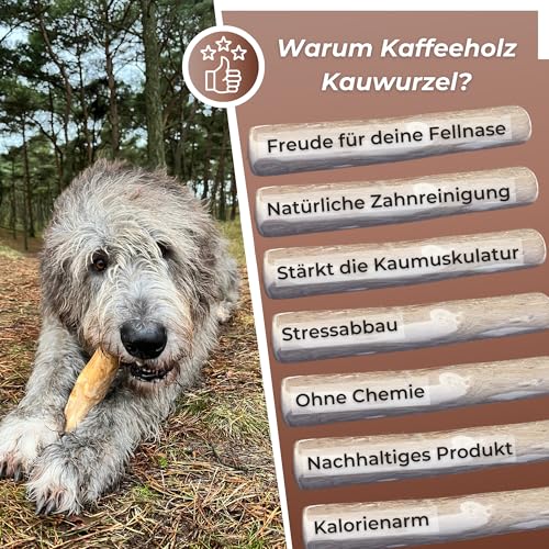 Zoys Kaffeeholz für Hunde Größe XL – Natürlicher Kauknochen – Unterstützt Zahnreinigung & beugt Zahnstein vor – Splitterfrei & koffeinfrei – Langlebiges Hundespielzeug für große Hunde