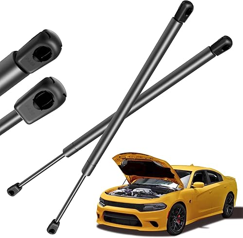 Vista 848 de SCITOO PM1017 - Soportes de elevación de 17.8 pulgadas para Hyundai Santa Fe 2007-2012 trasero izquierdo y derecho Liftgate Shock Struts 2pcs