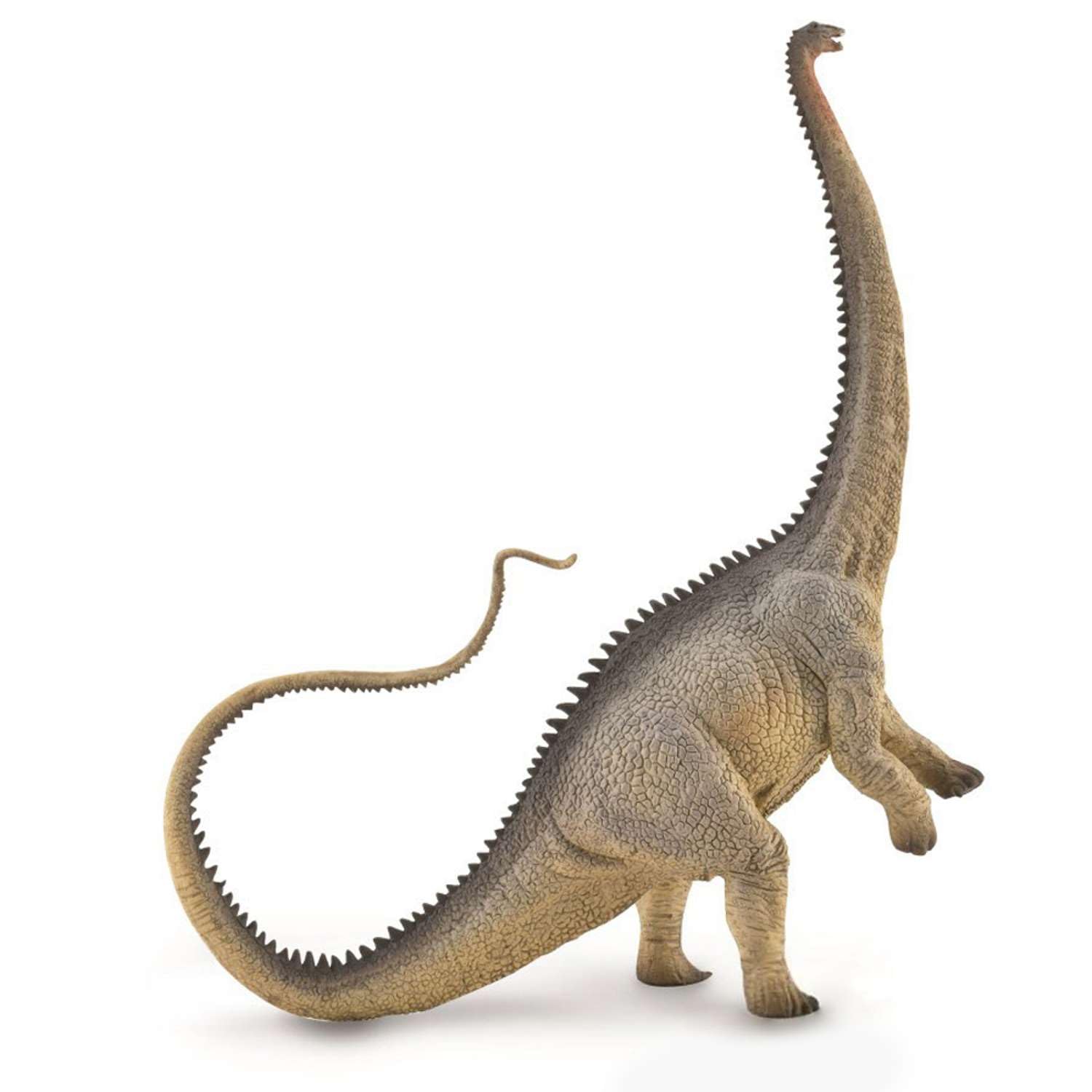 Diplodocus, Dinosaur Figurine, Grey | Realistic Dinosaur Toy, Collectable Animal Figure for Imaginative Play, Gift for Kids Age 3+