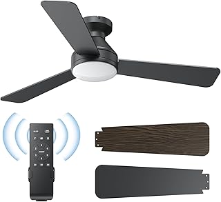 Ceiling Fans with Lights, 42 Inch Ceiling Fan with Light And Remote, 3CCT Flush