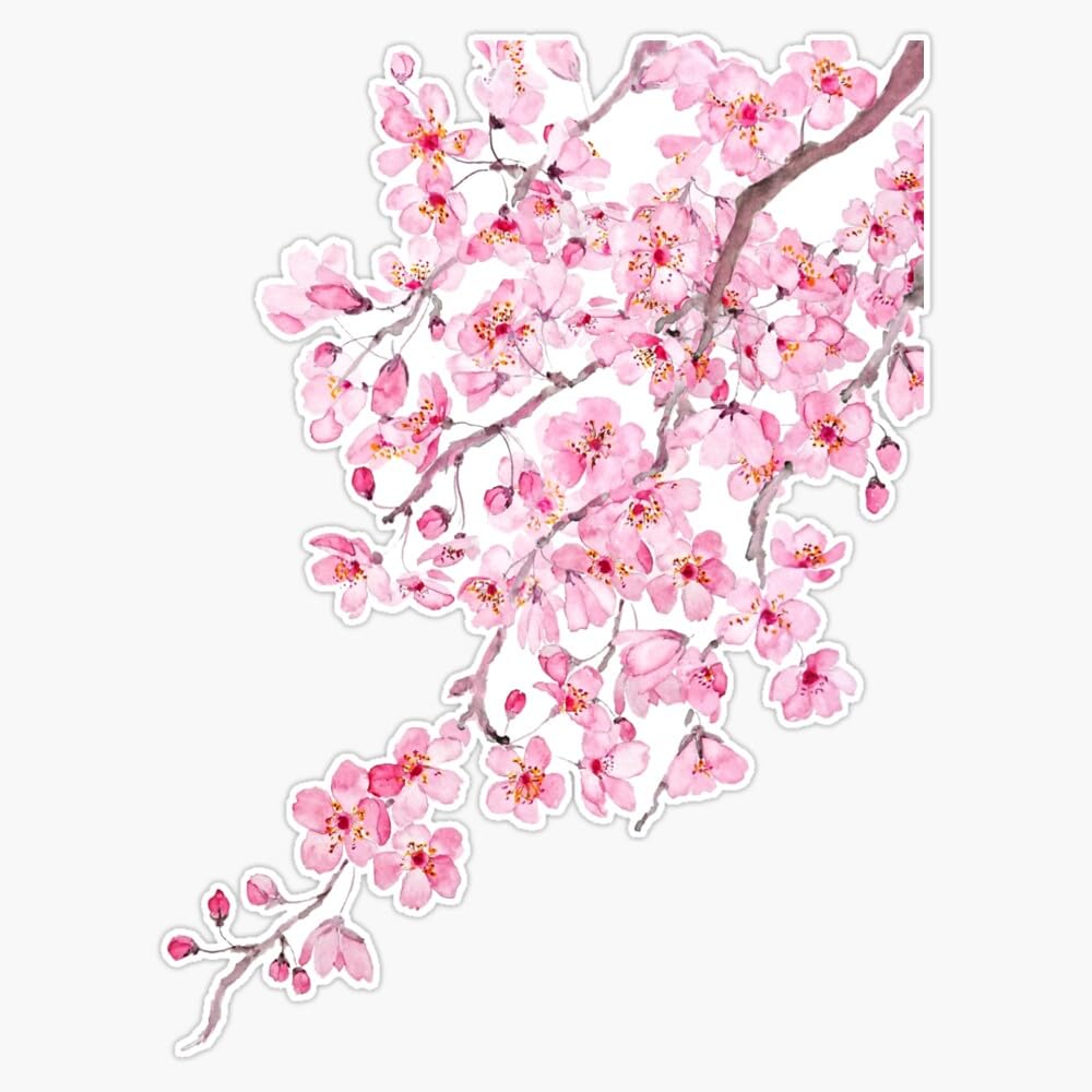 Pink Cherry Blossom Watercolor 2020 Window Bumper Sticker Decal 5"