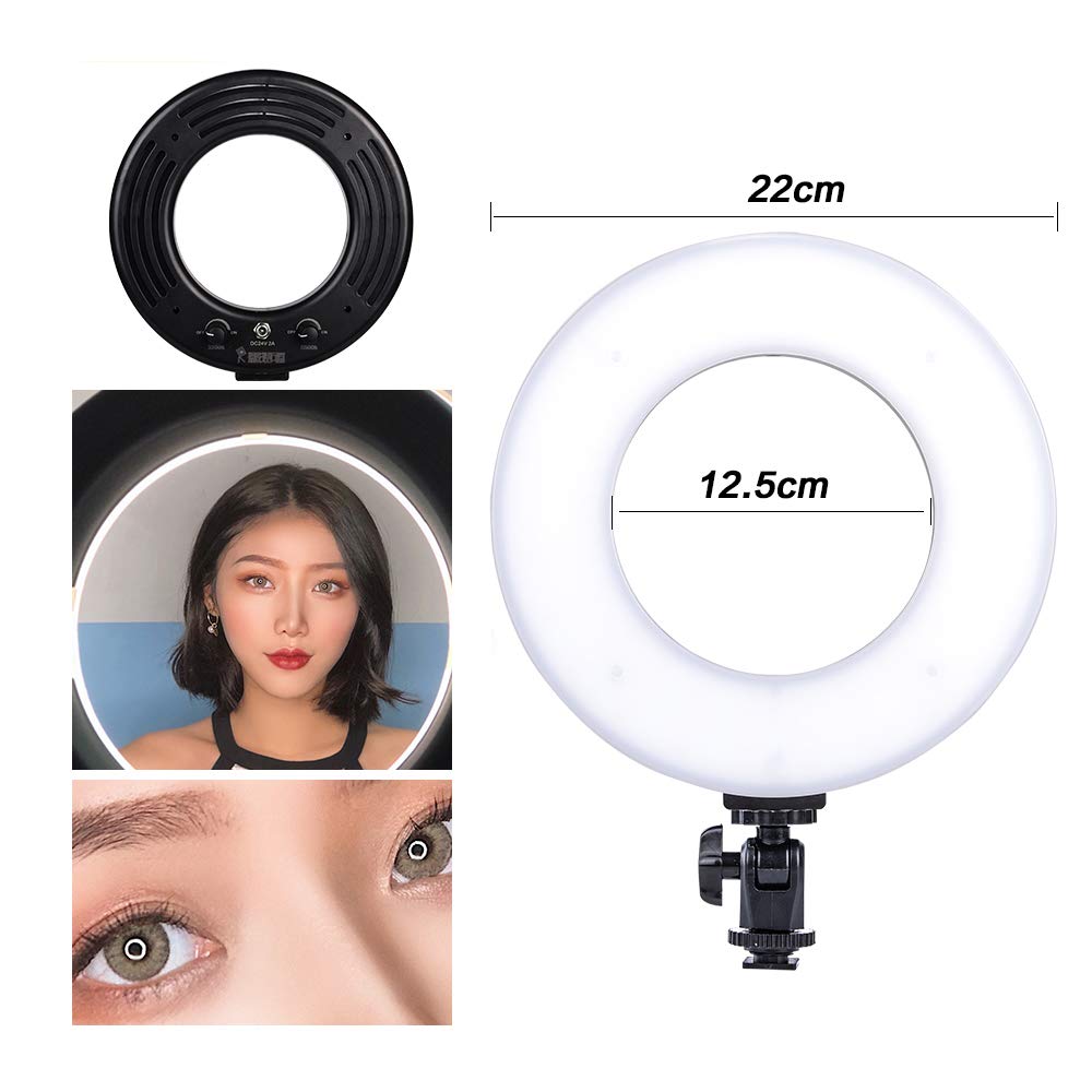 Fotostudio Set Fotografie Studioleuchte Fotowand Softbox mit 12 Zoll LED Ringleuchte Ringlicht Green Screen Set