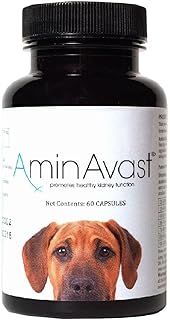 for Dogs and Cats - Kidney Support Supplement - Promotes Natural Kidney Function - Aids in Health and Vitality of Aging Kidneys - Easily Administered - 1000mg, 60 Sprinkle Capsule