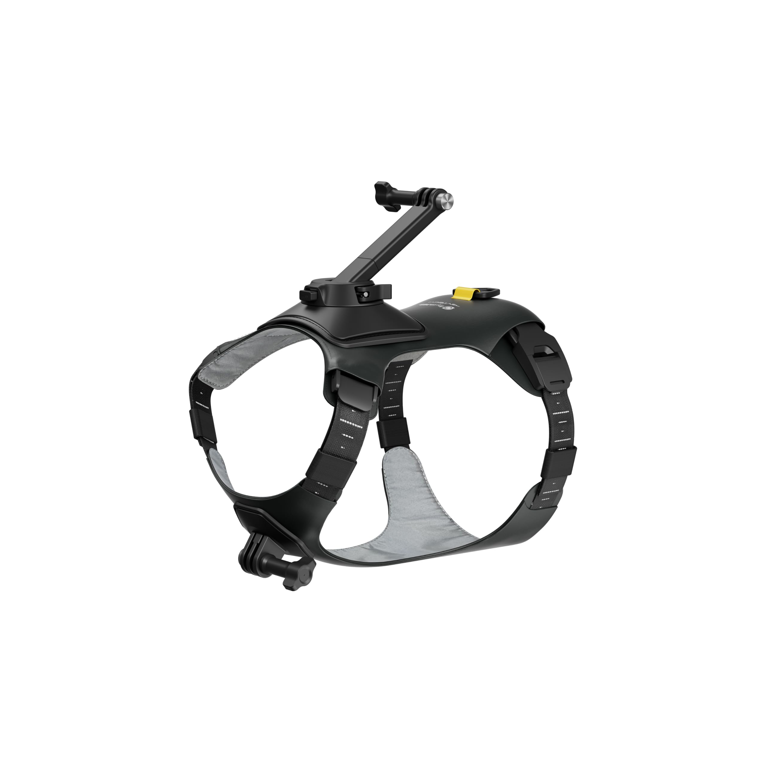 Insta360 GO 3/GO 3S - Soporte de arnés para mascotas, talla M (GO Ultra)