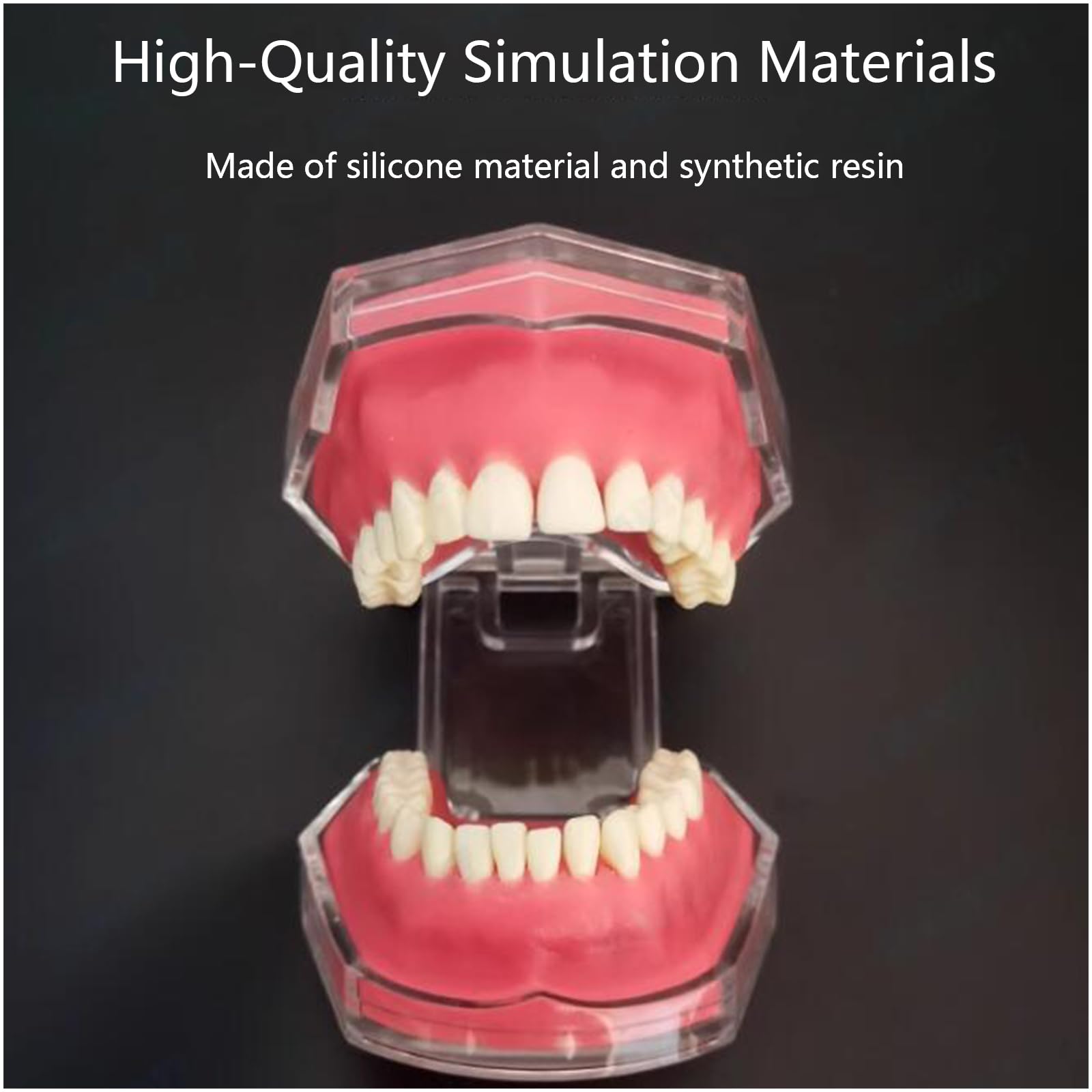 Modello di Estrazione Dentale, Modello Dentale in Resina a Bocca Intera, per la Comunicazione Pratica, Ornamenti clinici, sussidi didattici per l'odontoiatria