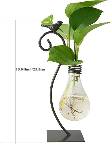 Miniatura 15 de Marbrasse - Jarrón hidropónico de cristal de sobremesa, florero con soporte para decoración del hogar, soporte de terrario, contenedor de Scindapsus