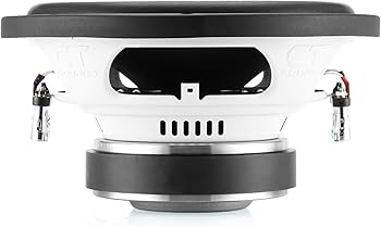 Amazon.com: CT Sounds Bio 10” 800-Watt Dual 2-Ohm Car Subwoofer