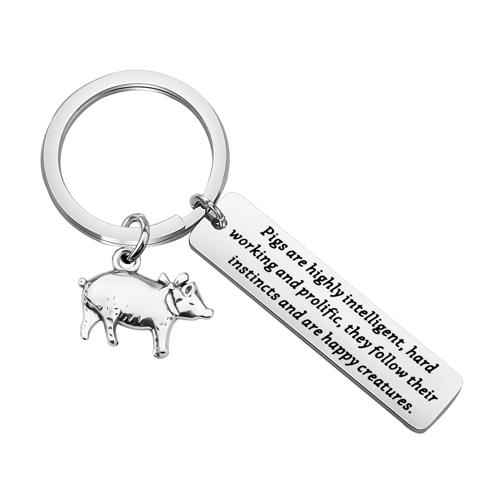 CENWAPig Gift Pig Keychain Pigs are Highly Intelligent Hard Working and Prolific Keychain Gift for Pig Mom