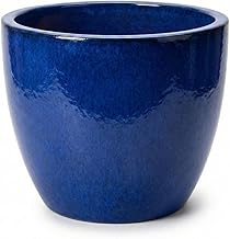 teramico Premium Glazed Ceramic Flower Pot, 100% Frost Resistant and Handmade Flower Pot with Hole (Royal Blue, 48cm x 41cm)