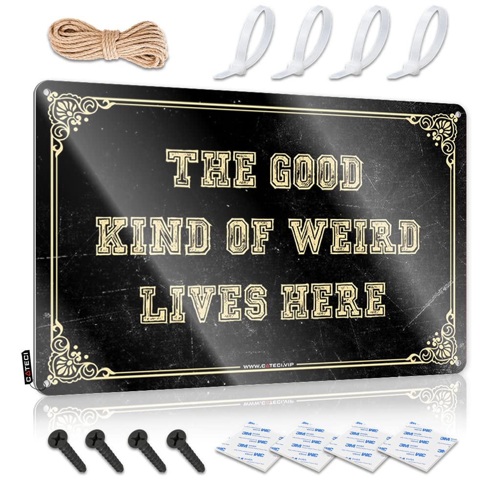 Retro Wall Art Tapestry Wall Decor | The Good Kind Of Weird Lives Here Plastic For Essentials Home(30X40CM)