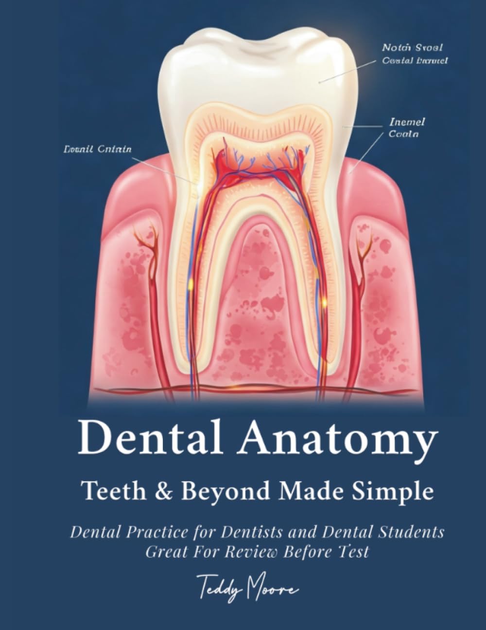 Dental Anatomy Teeth & Beyond Made Simple: Dental Practice for Dentists and Dental Students Great For Review Before Test