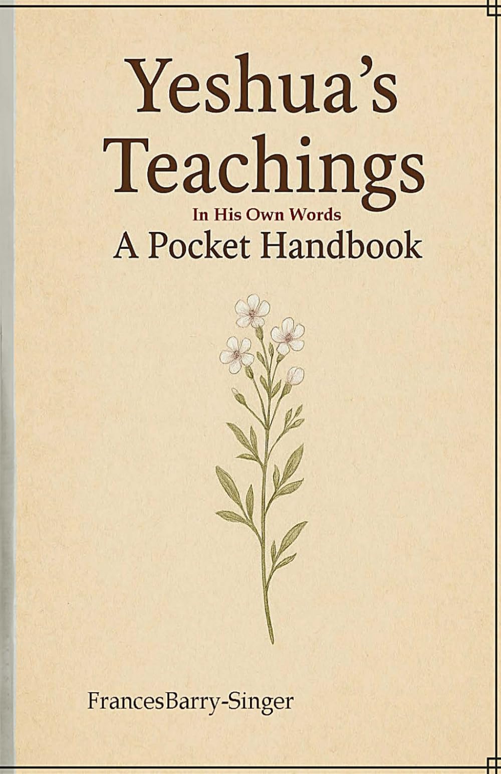 Yeshua's Teachings In His Own Words: A Chronological Pocket Handbook
