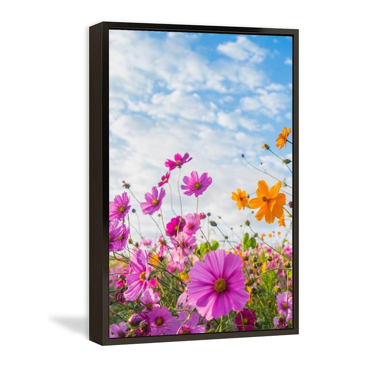 コスモス花畑の油彩画　装飾フレーム付き Amazon.co.jp: 絵画 コスモスの花畑インテリア 絵画 かわいいカラフル