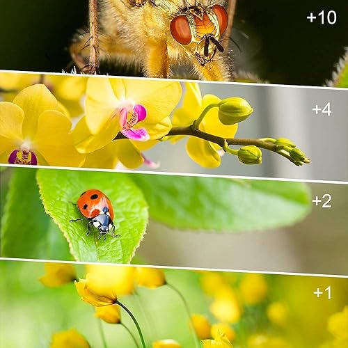 Miniatura 6 de Kit de filtro de primer plano de 1.594 in, 4 piezas (+1,+2,+4,+10), accesorio de filtro macro, kit de filtro de lente de primer plano con bolsa de