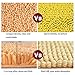 TJOUL Bathroom Rugs,Chenille Bath Rug,Machine-Washable Bath Mats,Water Absorbent Dry Fast Rugs,Shaggy Bathroom Mat,Non-Slip Soft Microfibers Carpet- 19.7 x 31.5 Inch Yellow